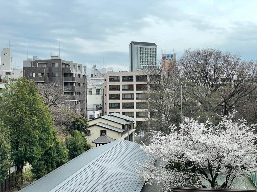 View from the internship location's office window in Tokyo