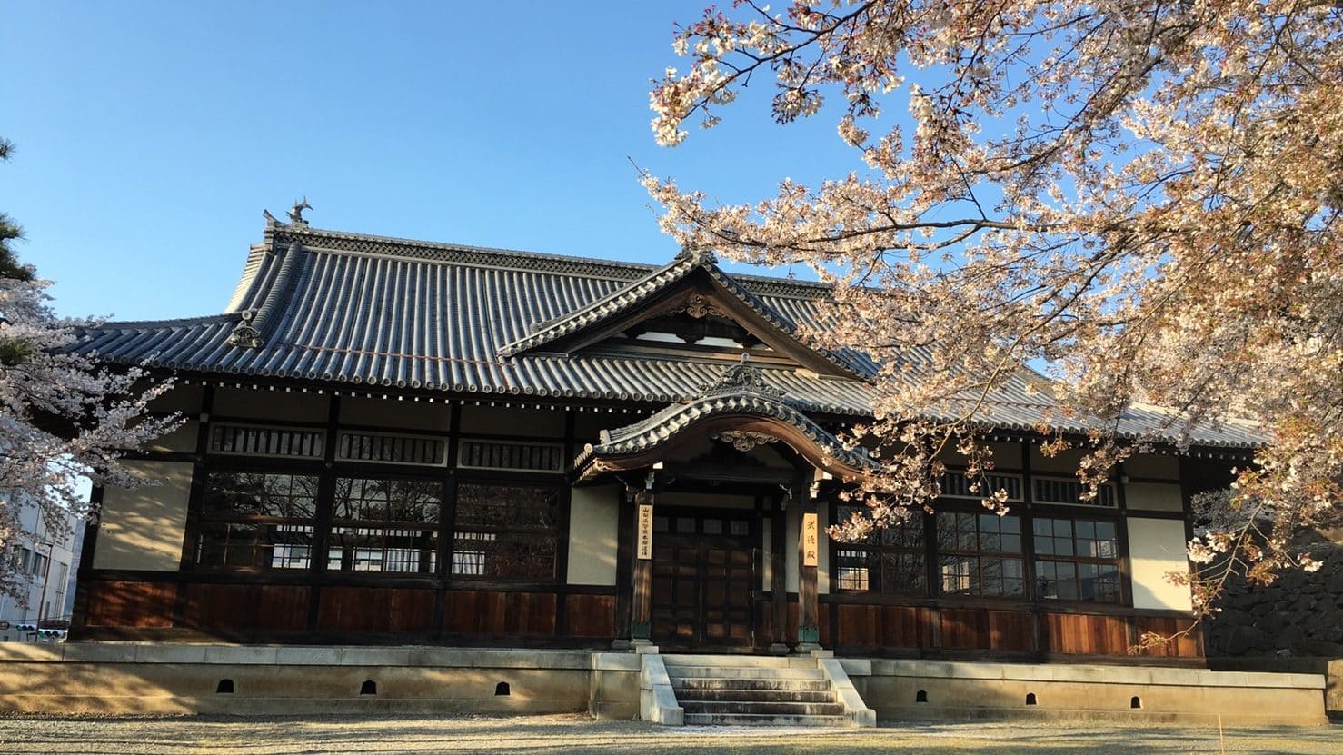 Japan's season with cherry blossoms