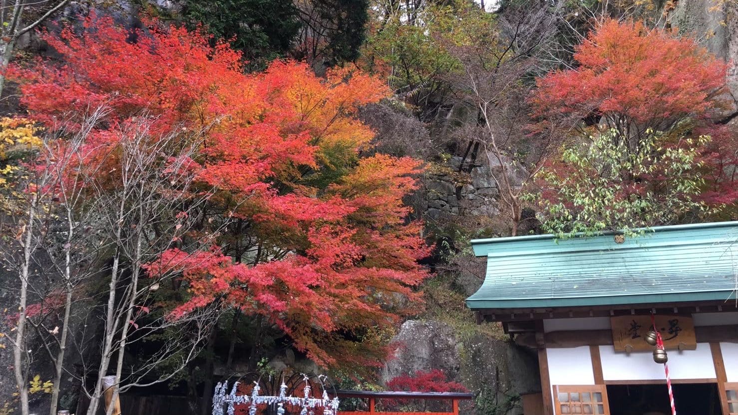 Japan's seasons and the autumn leaves