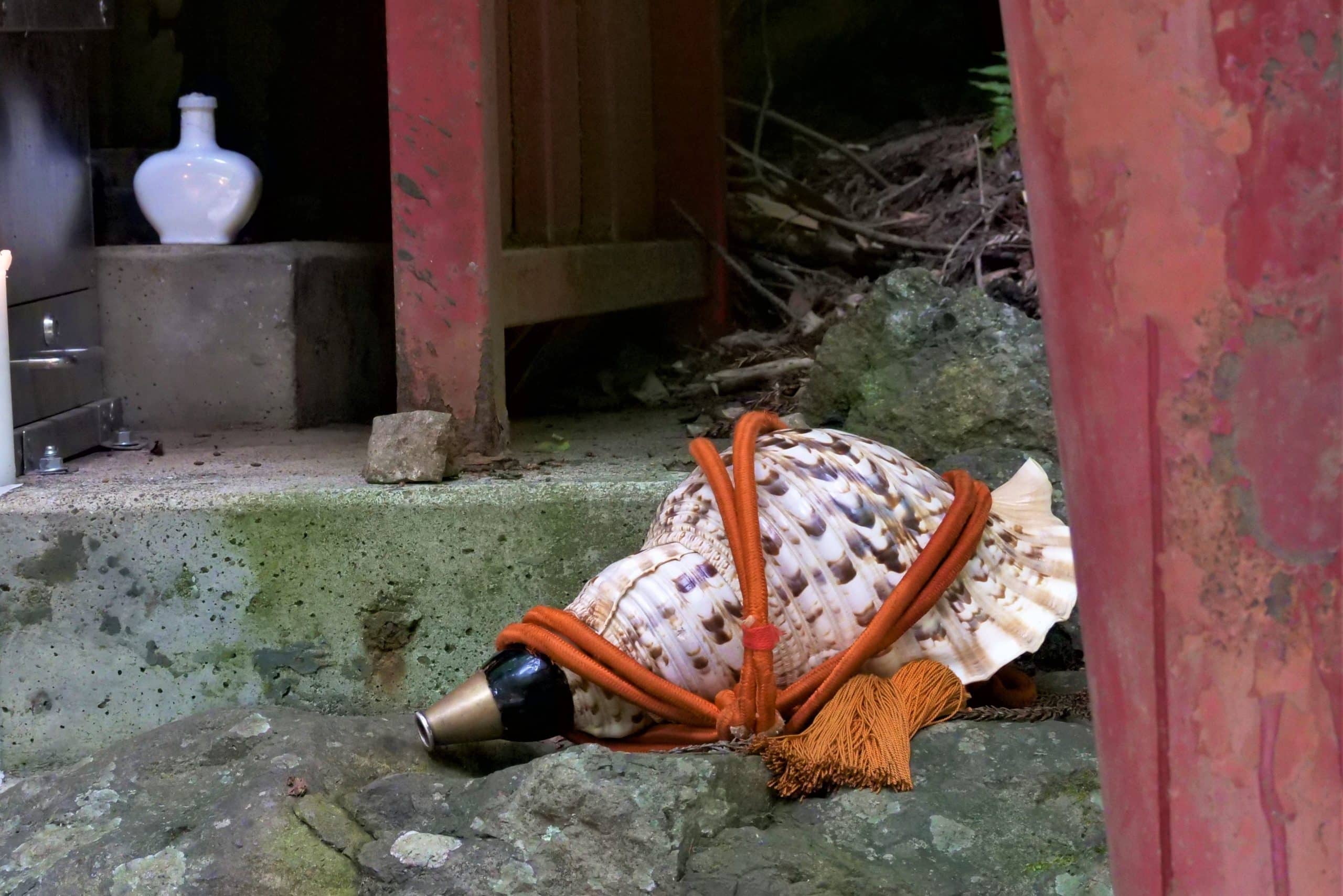 Conch shell used in Shugendo