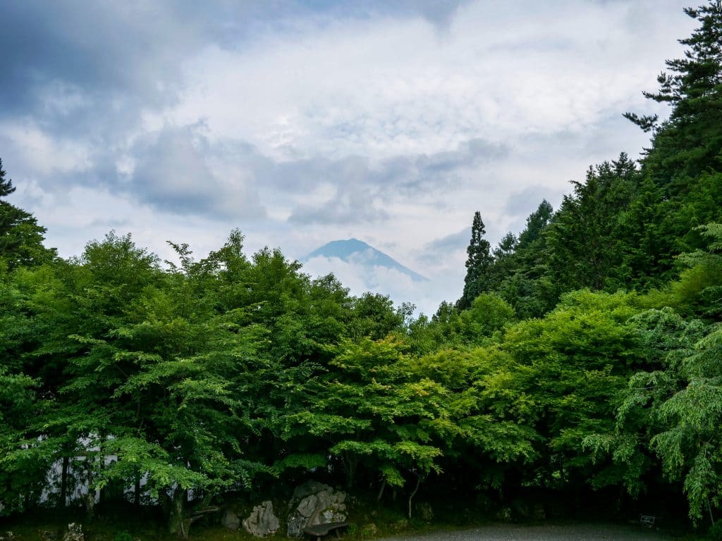 Mt Fuji showing its peak through the clouds