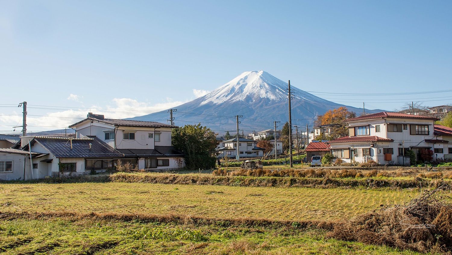 Japanese country houses and a rice paddy near Mt Fuji