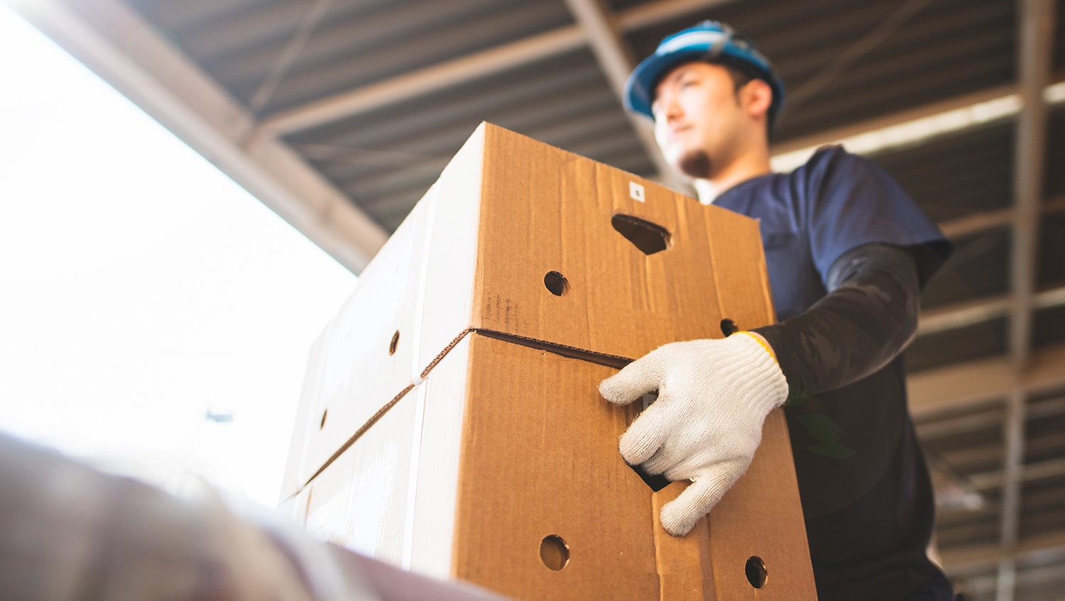 Worker carrying cardboard boxes
