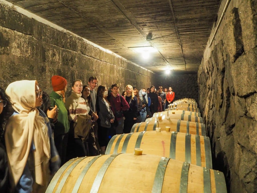iCLA students visit Lumiere Winery to learn about wine making in Yamanashi